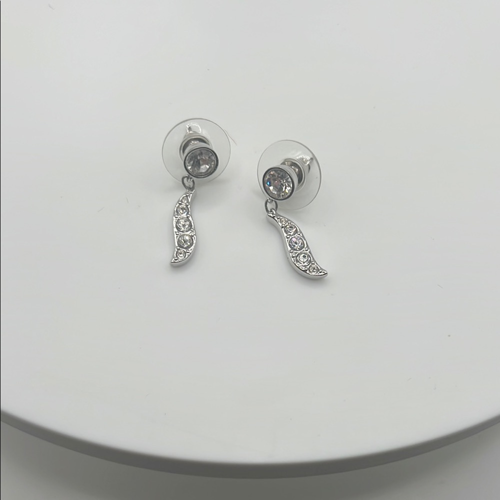 Elegant Silver Drop Earrings